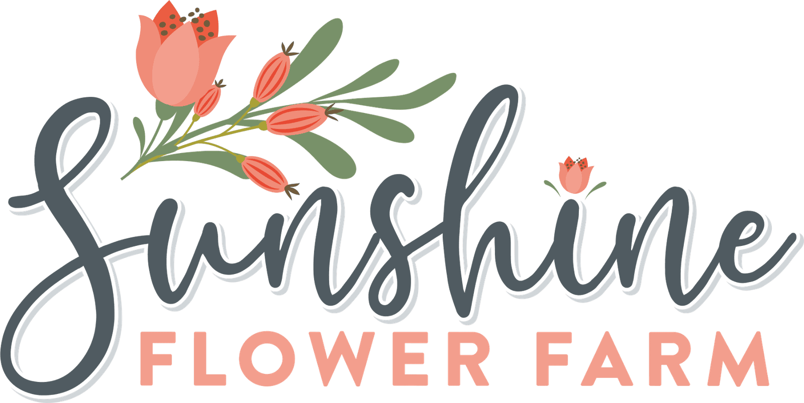 Sunshine Logo - Sunshine Flower Farm in Apple Creek Ohio