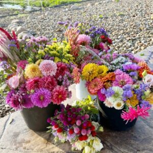 One bucket of mixed flowers