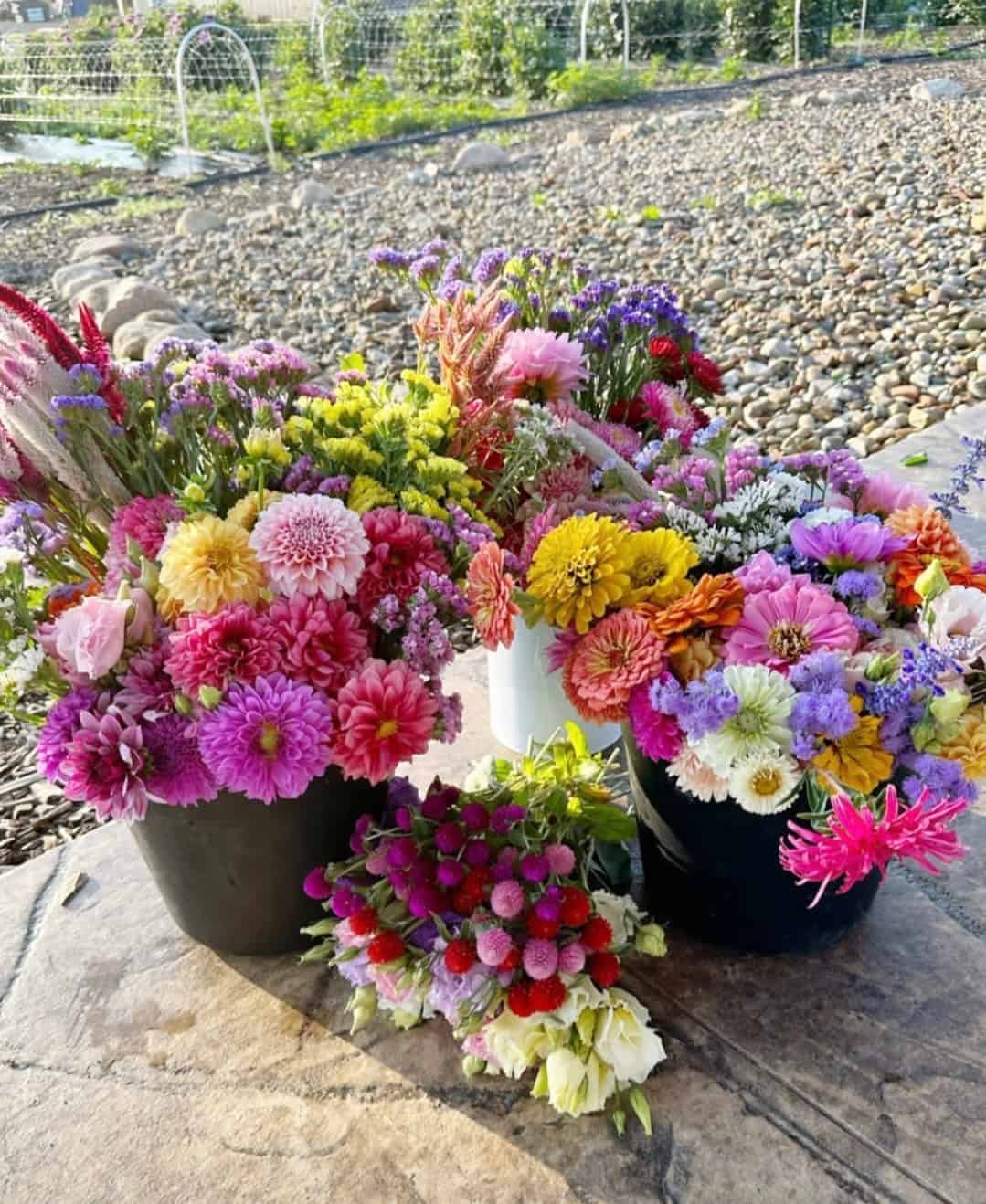 One bucket of mixed flowers